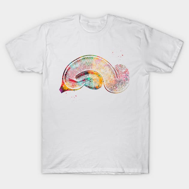 Brain Pyramidal Neurons T-Shirt by erzebeth